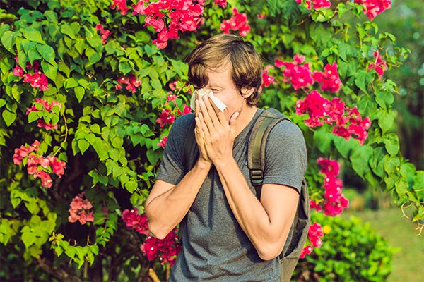 Allergic Rhinitis _ Dr. Care Homeopathy